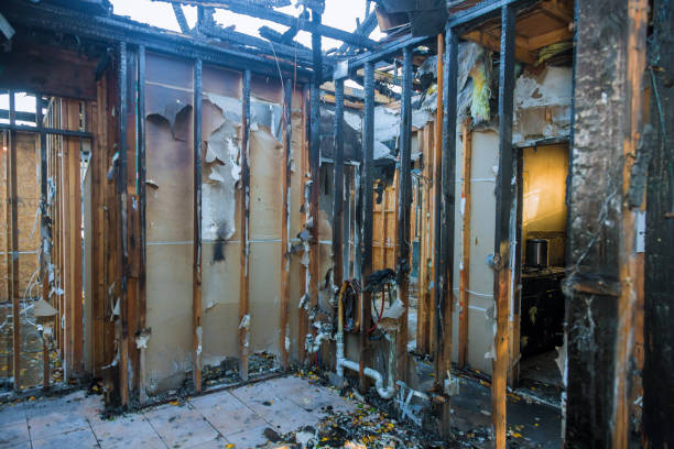 Professional Smoke Odor Removal technician working in Leesburg, VA